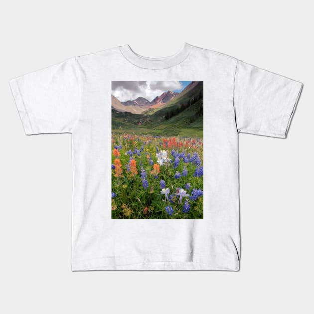 Alpine flowers in Rustler's Gulch, USA (C006/6000) Kids T-Shirt by SciencePhoto